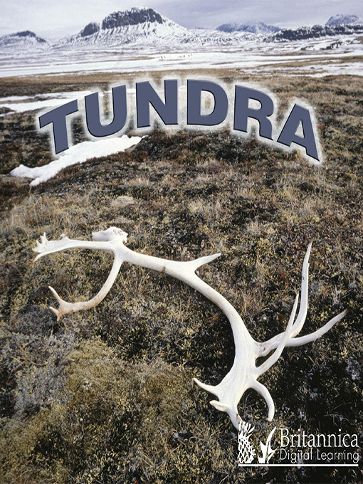 Title details for Tundra by Lynn M. Stone - Available